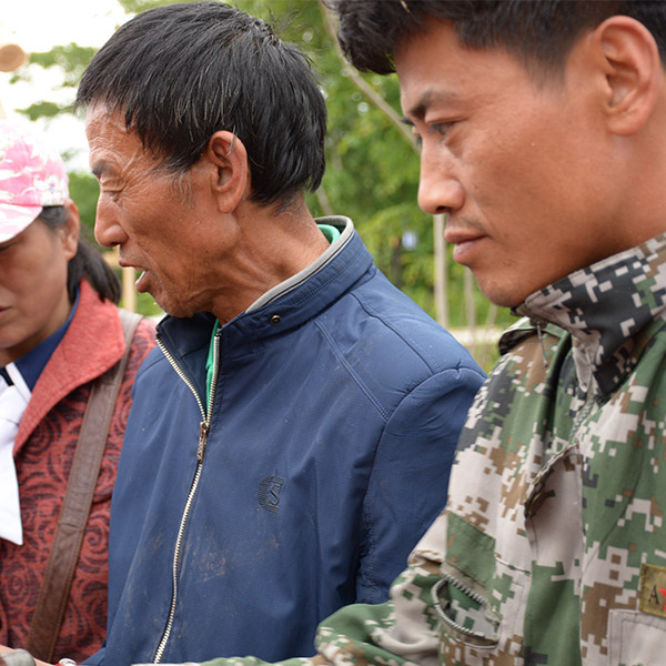 腾泰五常种植基地