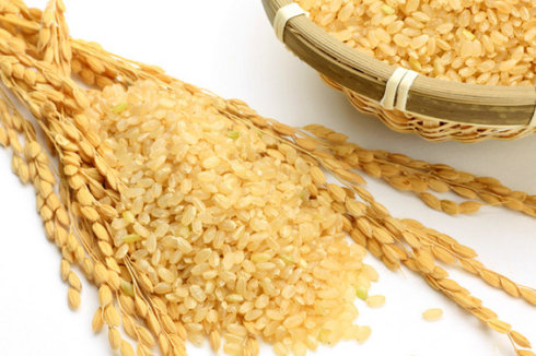 玄米是什么米？为何说玄米能瘦身？